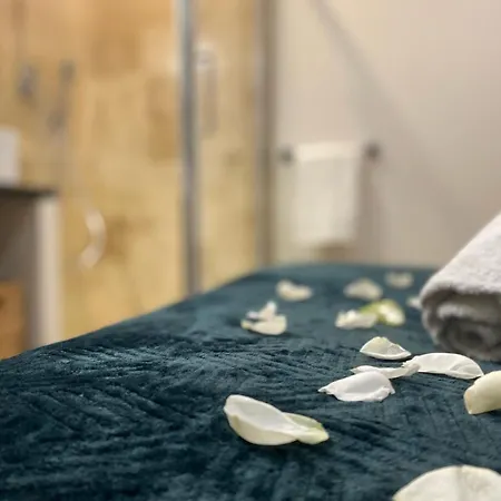 Le Loft - Bain Jacuzzi Et Sauna Ним